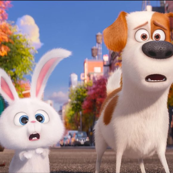 Excellent Used Condition The Secret Life of Pets Blu Ray & DVD 2 disc set - Picture 6 of 8